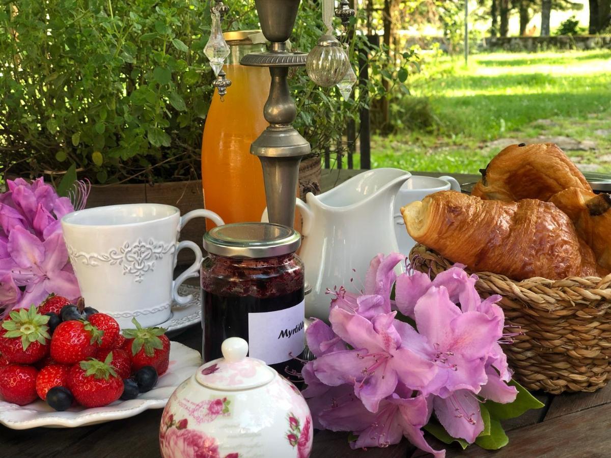 Manoir De Chantemerle Sainte-Fortunade 外观 照片