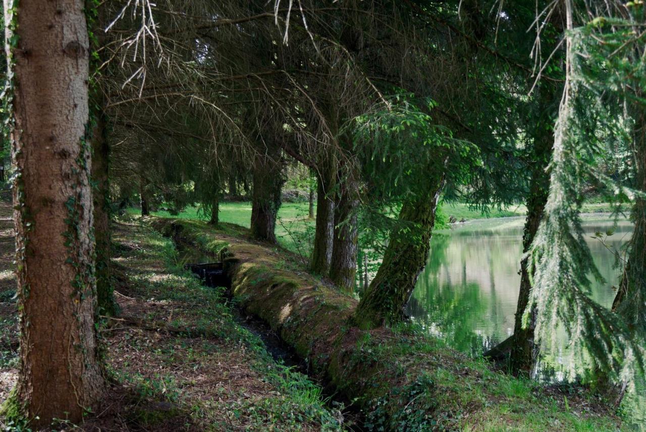 Manoir De Chantemerle Sainte-Fortunade 外观 照片